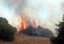 Kula'da makilik yangını söndürüldü