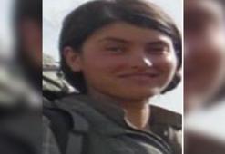 Van'da etkisiz hale getirilen teröristlerden biri Gri Kategori'de