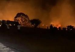 Didim'de 5 dönüm makilik alan yandı