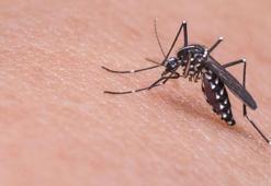 Anafilaksi hayati risklere neden olabiliyor