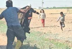 Akçakale’de arılar aileye saldırdı