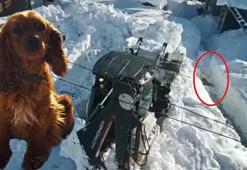 Yol açma çalışmasında iş makinesiyle alınan 'Tarçın' karlar arasından çıktı