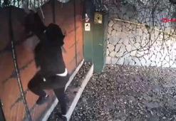 Gazeteci Ali Kırca'nın evine giren hırsıza 15 yıla kadar hapis istemi