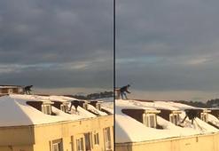Arnavutköy'de çatıda korkutan kar temizliği