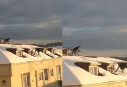 Arnavutköy'de çatıda korkutan kar temizliği