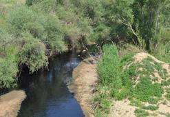 Manisa'da Gediz'i kirleten işletmelere ceza yağdı