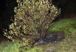 Yol kenarına bırakılıp ateşe verilen valizden yanmış ceset çıktı