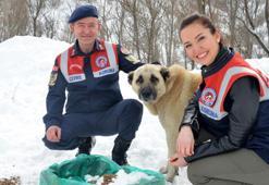 'HAYDİ' ile 31 bin 17 ihbara müdahale edildi