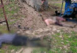 Yunanistan 15 bin 794 göçmeni ölüme itti