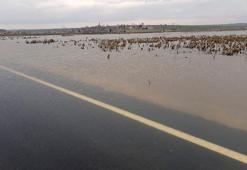 Taşan Ergene Nehri için 'sarı alarm', ekili alanlar sular altında