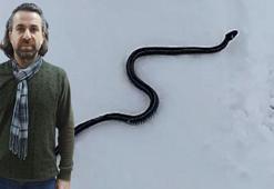 Prof. Dr. Yıldız: Yılanların kış uyku düzeni bozuldu