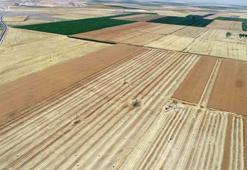 Grain exports increased by 41 percent; A record export to India