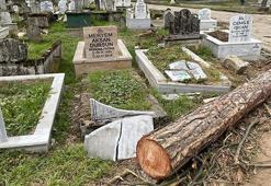 Ağaç kesimi sırasında mezarların zarar gördüğü iddiası