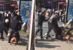 Beyoğlu'nda pitbull dehşeti