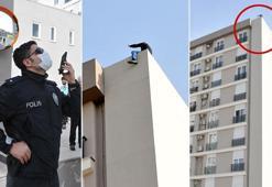 Site çatısında boru anahtarlı 'senet' eylemi