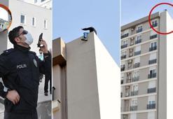 Site çatısında boru anahtarlı 'senet' eylemi