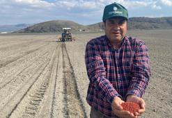 Bakan Pakdemirli: Sezonun ilk pancar tohumu toprakla buluştu