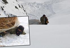 Yüksekova'da besiciler, çığdan kıl payı kurtuldu
