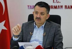 Bakan Pakdemirli: Covid-19 testim pozitif çıktı