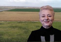 'Tarlada sera gazını azalttıkça gıda güvenliğimiz artar'