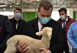 "Türkiye’nin mandırası Balıkesir"