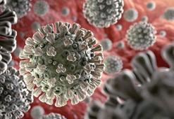 Bilim Kurulu Üyesi Özlü: Salgın eskisi gibi değil, virüs gücünü kaybediyor