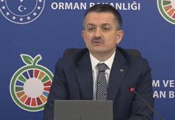 Bakan Pakdemirli: 5 bin yeni yangın işçisi istihdam edilecek