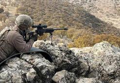 Mardin'de 'Eren Kış-29 Operasyonu' başlatıldı