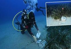 'Deniz çayırları' tehdit altında