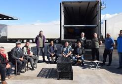 Ukraynalı TIR şoförleri, savaş çıkınca ülkelerine dönemedi