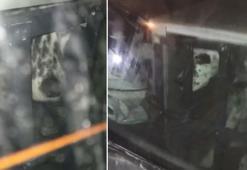 Sahibinin aracın bagajına hapsettiği köpeği hayvanseverler kurtardı