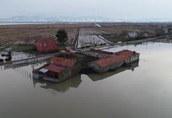Kızılırmak Deltası'ndaki mahallede 'taşkın' korkusu