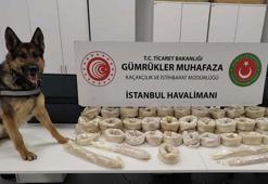 İstanbul Havalimanı'nda uyuşturucu operasyonu: Dedektör köpekler uyuşturucuları böyle buldu