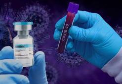 Market poşeti yıkanan günlerden, aşıların zaferine: Kovid-19 pandemisinde 2 yıl