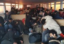 Yolcu motorunda 251 kaçak göçmen ile 3 organizatör yakalandı