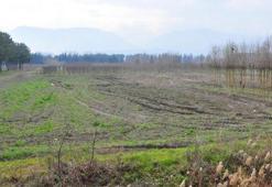 Volkswagen'in yatırımdan vazgeçtiği fidanlık arazi için yürütmenin durdurulmasını istediler