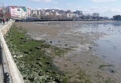 Silivri'de deniz çekildi