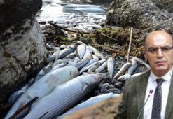 Prof. Dr. Meriç Albay: Küçükçekmece Gölü'nün ciddi bir restorasyona ihtiyacı var