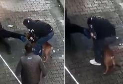 Güngören'de pitbull dehşeti; bacağından ısırıp bırakmadı