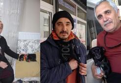 Avcılar'da pitbull, bahçedeki köpeğe saldırdı