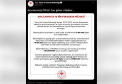 Arıcılara 16 bin ton ilave şeker desteği