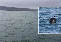 Boğaz girişindeki mayın imha edildi