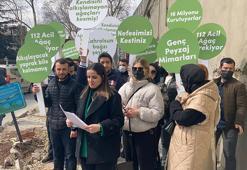 Mimari ve Şehircilik Platformu üyelerinden kesilen çınar ağaçları için protesto