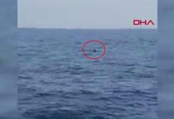 İğneada açıklarındaki mayın SAS timleri tarafından etkisiz hale getirildi