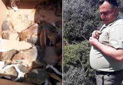 İş yerinde ticareti ve evde beslenmesi yasak 17 sincap ele geçirildi