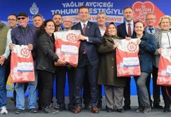 İBB, yağlık ayçiçek tohumu dağıtımını Silivri'den başlattı