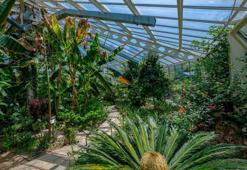 700'ün üzerinde bitki çeşidiyle şifa dağıtıyor