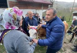 Heyelanda havyanlarını kaybeden çifte inek yardımı