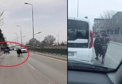 Kaçan boğa ortalığı birbirine kattı