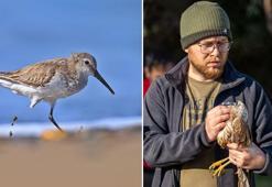 Göç yolunda 3 kuşa insan darbesi